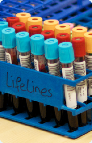 Laboratoriummateriaal van Lifelines